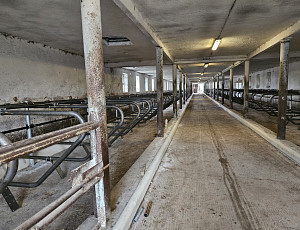 Oprava stáje pro skot